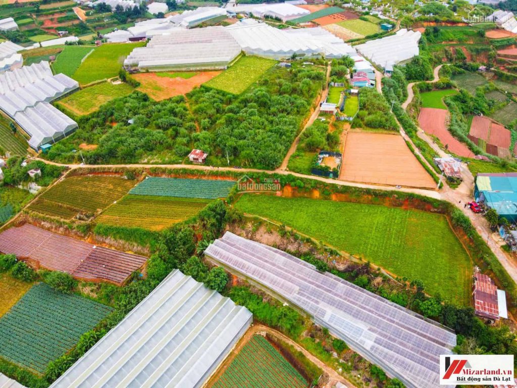 bán đất nông nghiệp Đà Lạt