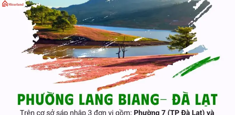 Phường Langbiang Đà Lạt - Thị trường bất động sản tại Phường Langbiang Đà Lạt